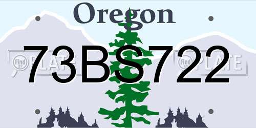 73BS722 Oregon License Plate