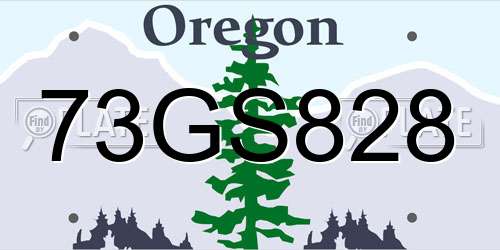 73GS828 Oregon License Plate