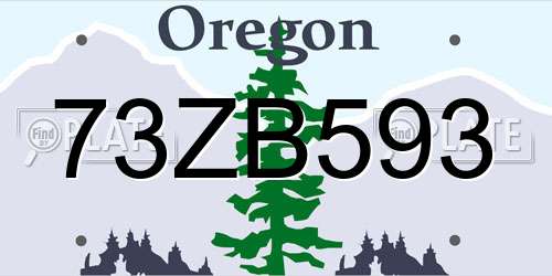 73ZB593 Oregon License Plate