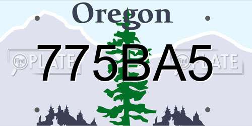 775BA5 Oregon License Plate