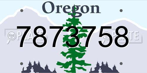 7873758 Oregon License Plate