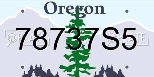 78737S5 Oregon License Plate