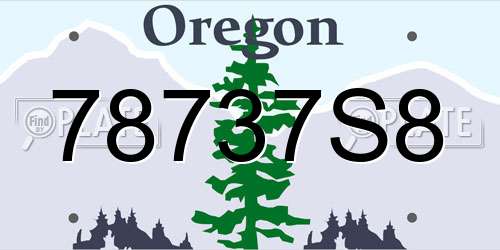 78737S8 Oregon License Plate