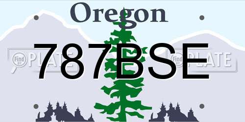 787BSE Oregon License Plate
