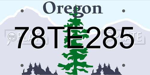 78TE285 Oregon License Plate