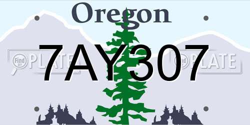 7AY307 Oregon License Plate