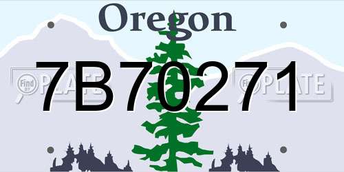 7B70271 Oregon License Plate