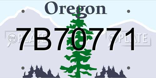 7B70771 Oregon License Plate