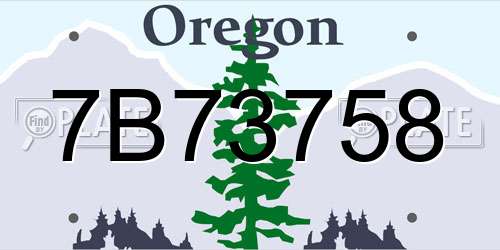 7B73758 Oregon License Plate