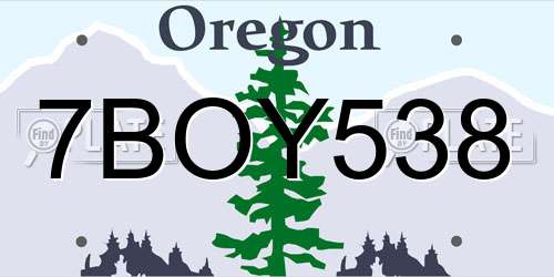 7BOY538 Oregon License Plate