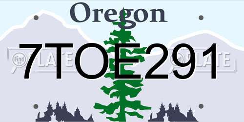 7TOE291 Oregon License Plate