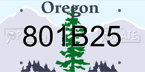 801B25 Oregon License Plate