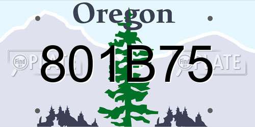801B75 Oregon License Plate