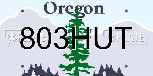 803HUT Oregon License Plate