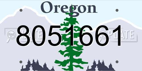 8051661 Oregon License Plate