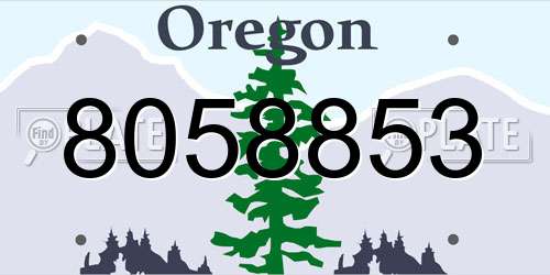 8058853 Oregon License Plate