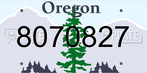 8070827 Oregon License Plate