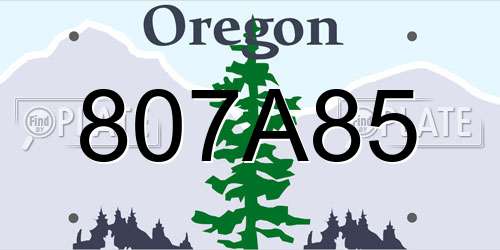 807A85 Oregon License Plate