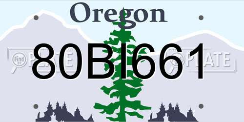 80BI661 Oregon License Plate