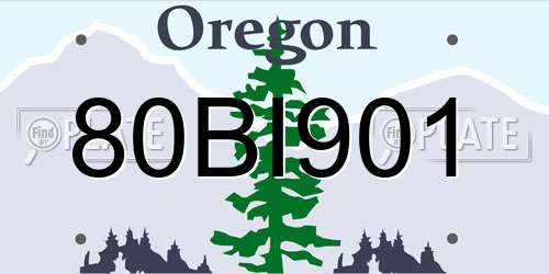 80BI901 Oregon License Plate