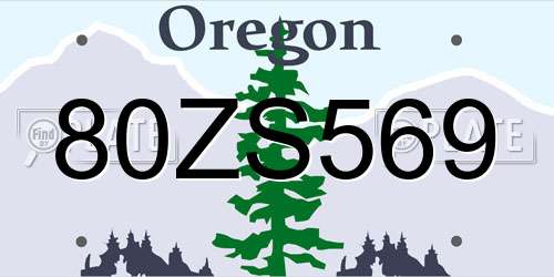 80ZS569 Oregon License Plate
