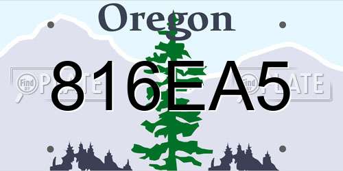 816EA5 Oregon License Plate