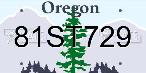 81ST729 Oregon License Plate