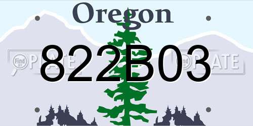 822B03 Oregon License Plate