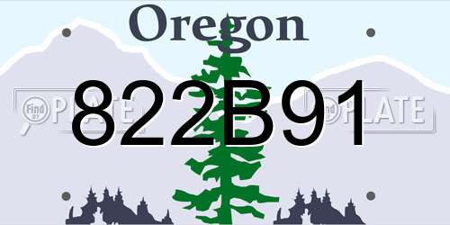 822B91 Oregon License Plate