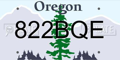 822BQE Oregon License Plate