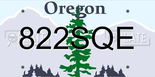 822SQE Oregon License Plate