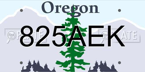 825AEK Oregon License Plate