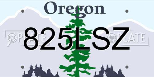 825LSZ Oregon License Plate