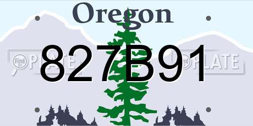 827B91 Oregon License Plate