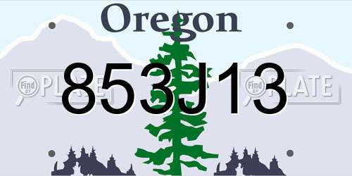 853J13 Oregon License Plate