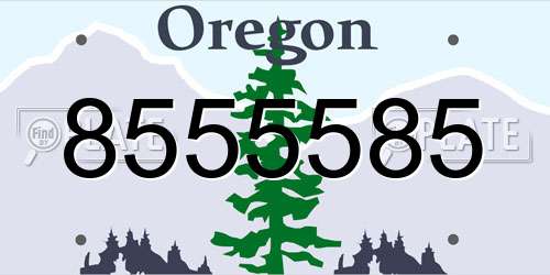 8555585 Oregon License Plate