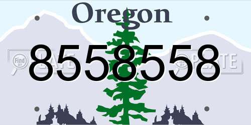 8558558 Oregon License Plate