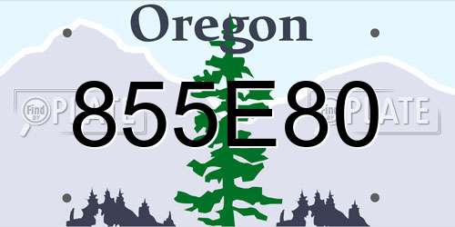 855E80 Oregon License Plate