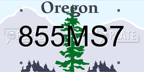 855MS7 Oregon License Plate