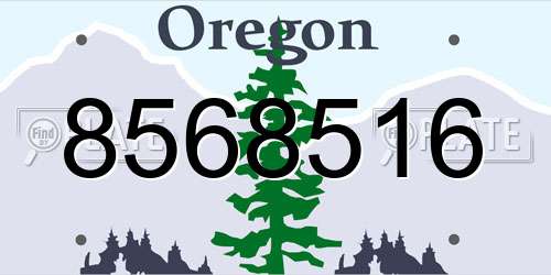 8568516 Oregon License Plate