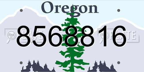 8568816 Oregon License Plate