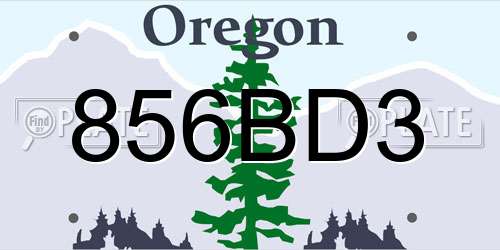 856BD3 Oregon License Plate
