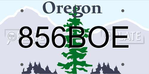 856BOE Oregon License Plate