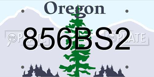 856BS2 Oregon License Plate