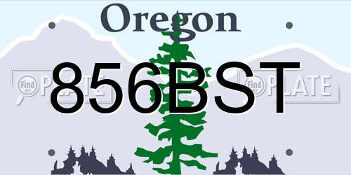 856BST Oregon License Plate