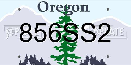 856SS2 Oregon License Plate