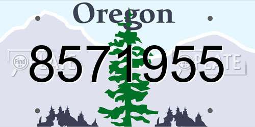 8571955 Oregon License Plate