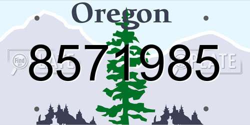 8571985 Oregon License Plate