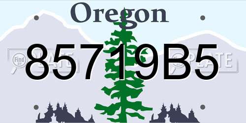 85719B5 Oregon License Plate