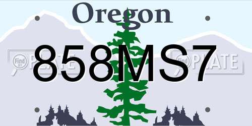 858MS7 Oregon License Plate
